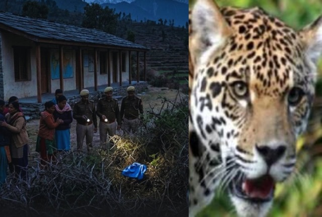 pauri-garhwal-chaubattakhal-leopard-killed-four-year-old-girl.jpg